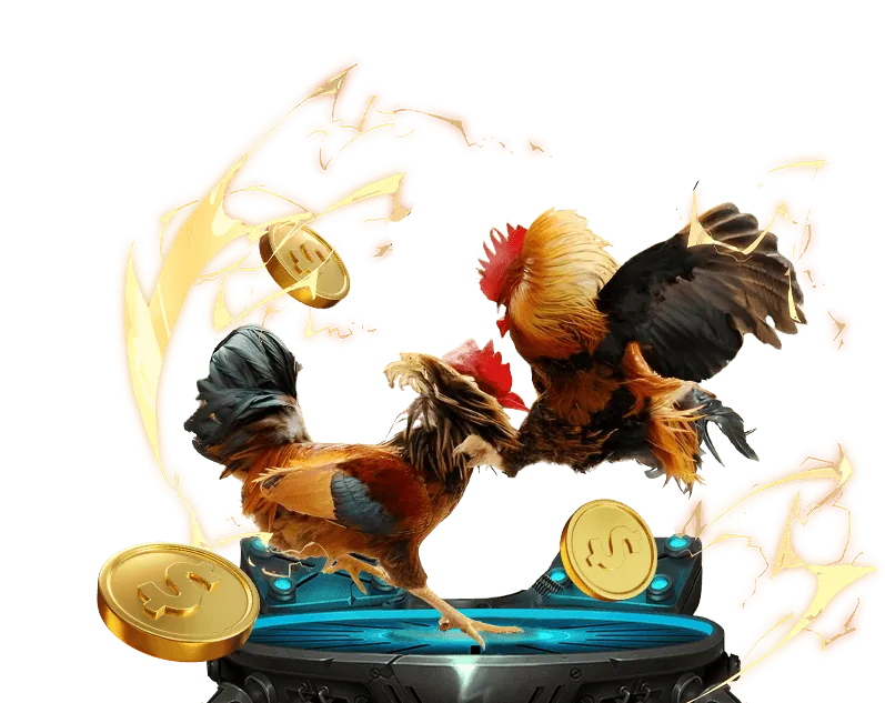 Chiến Thuật Đá Gà Hiệu Quả 98win